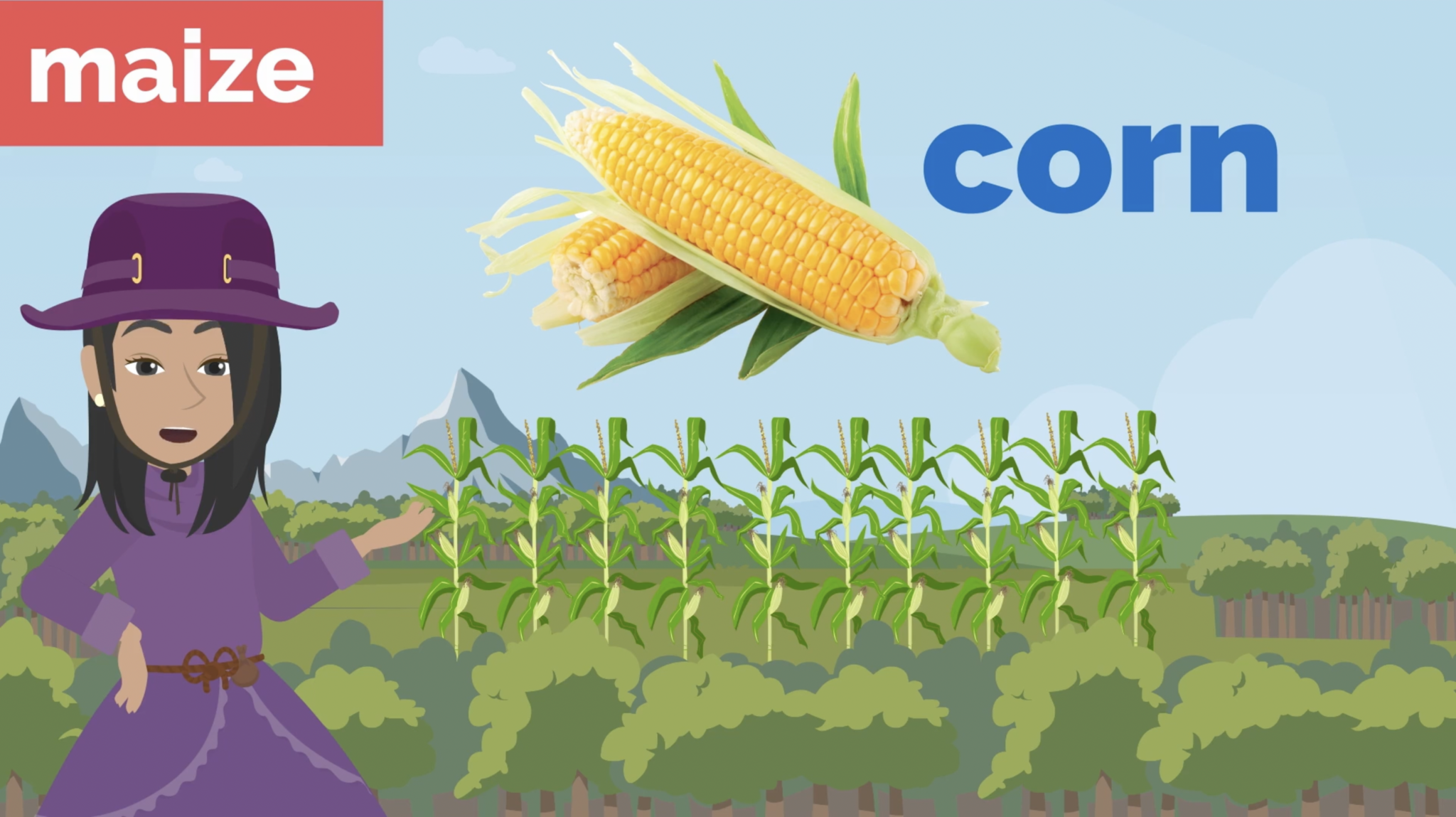 CLIL地理コース | NeWorld English Kids